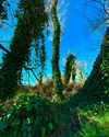 aleiisha.piixiie Altpins Profile Picture