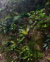 aleiisha.piixiie Altpins Profile Picture