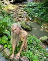 aleksandraverse Altpins Profile Picture