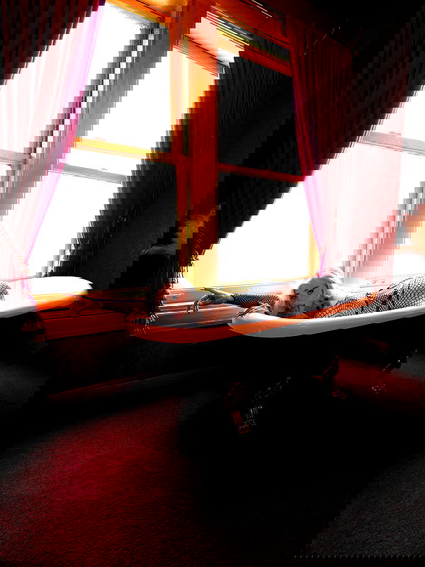 alexandramarianna alexandramarianna archive image