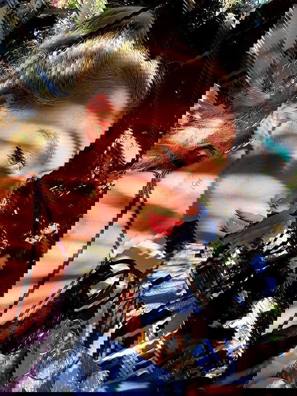 alexandramarianna alexandramarianna archive image