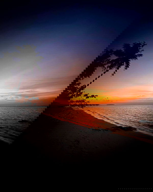 alexis.blond alexis.blond archive image