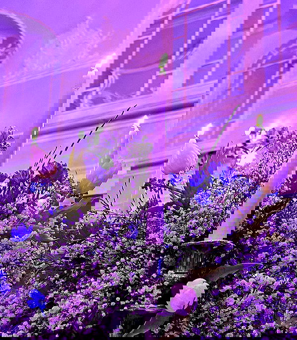 alexis.blond alexis.blond archive image