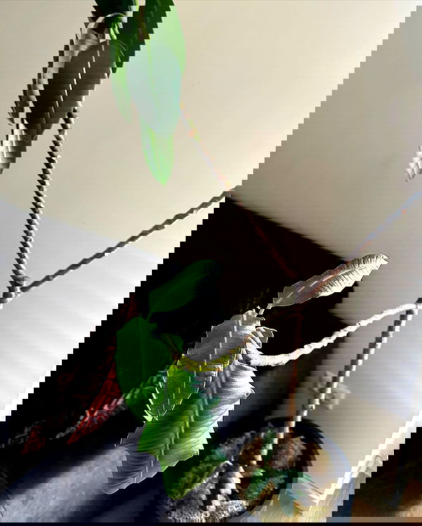 alexis.blond alexis.blond archive image