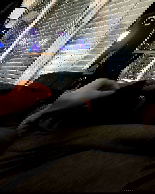 alexis.blond alexis.blond archive image