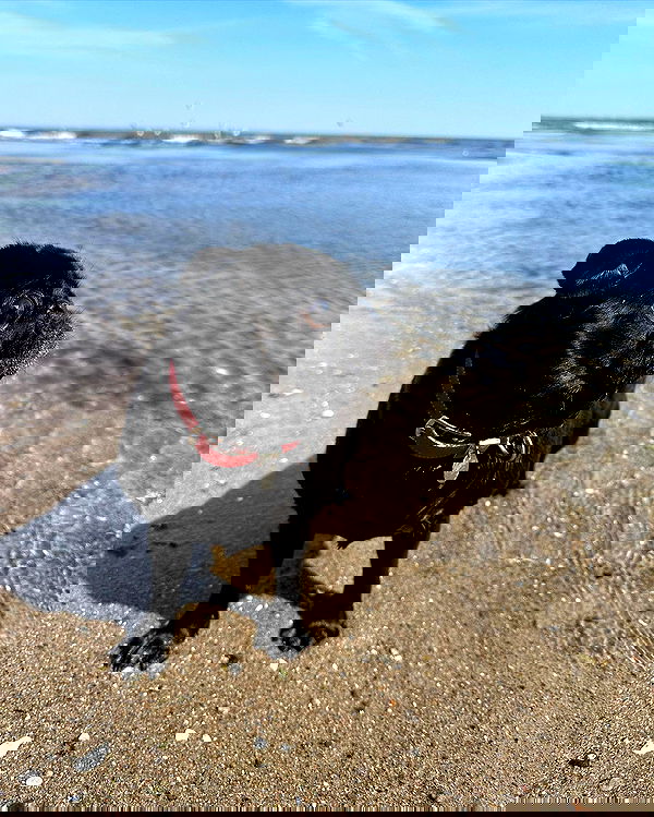 alexis.blond alexis.blond archive image