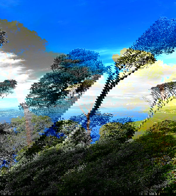 alexis.blond alexis.blond archive image