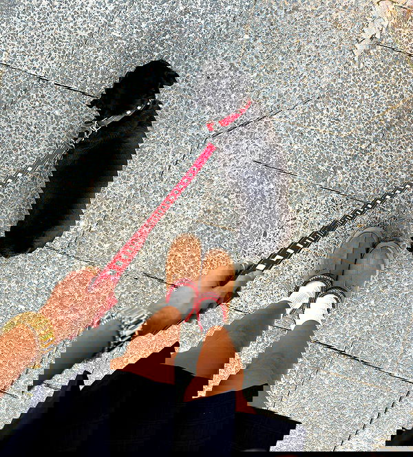 alexis.blond alexis.blond archive image