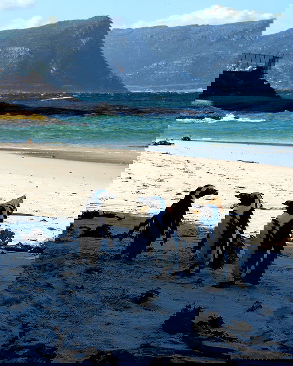 alexis.blond alexis.blond archive image