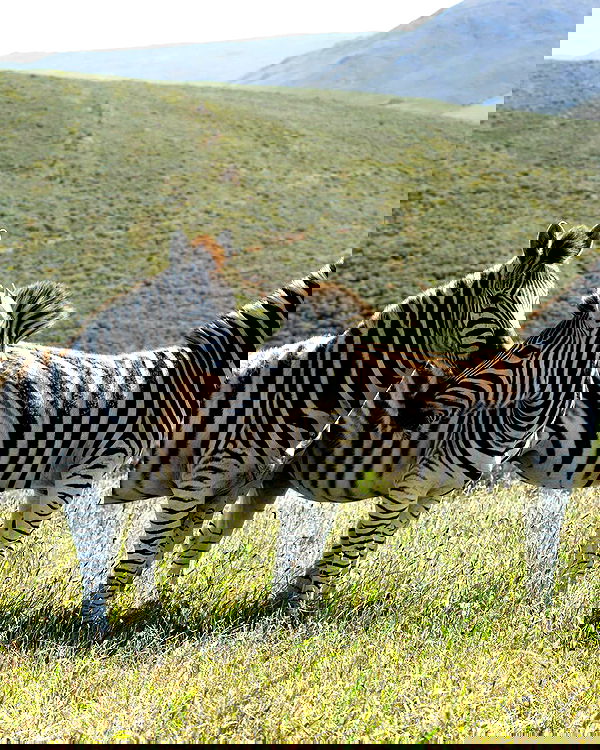 alexis.blond alexis.blond archive image