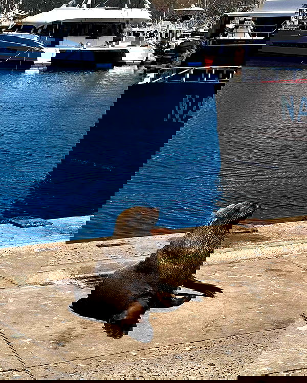 alexis.blond alexis.blond archive image