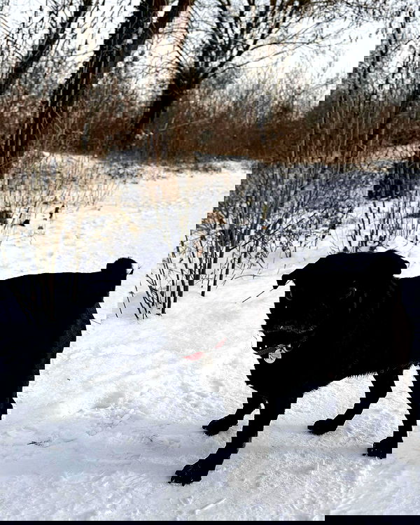 alexis.blond alexis.blond archive image