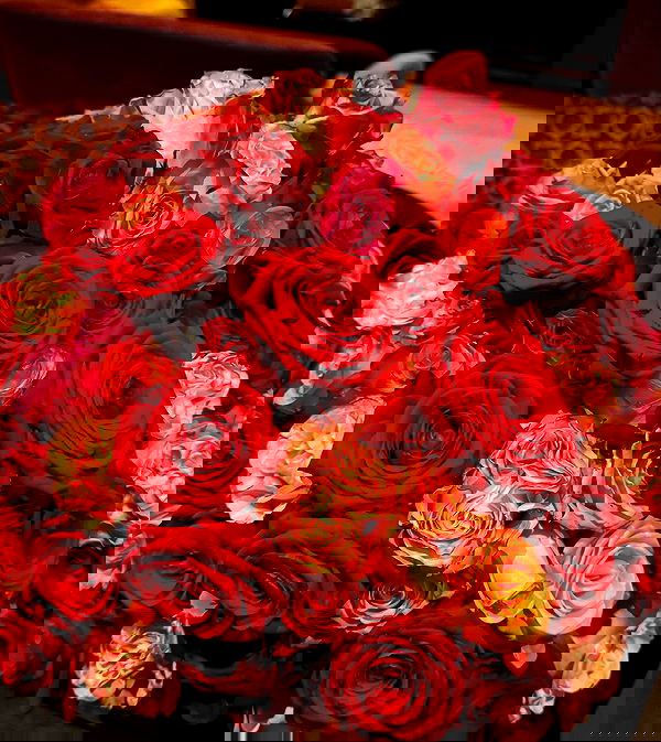 alexis.blond alexis.blond archive image