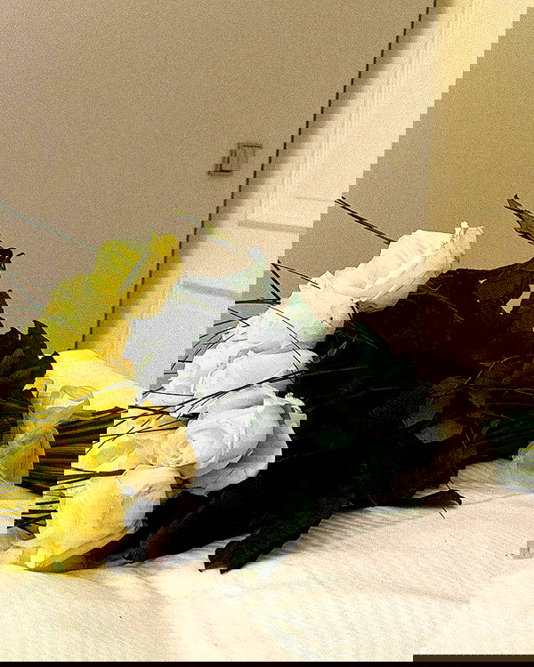 alexis.blond alexis.blond archive image