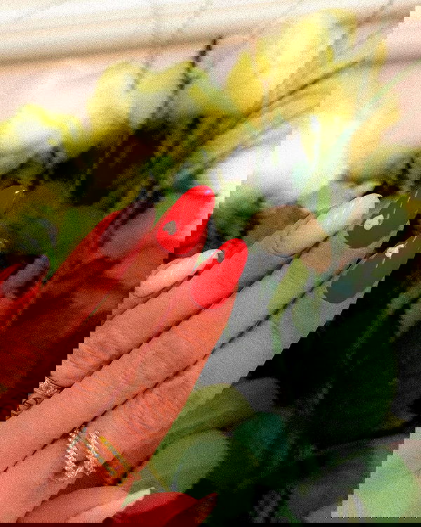 alexis.blond alexis.blond archive image