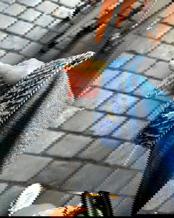 alexis.blond alexis.blond archive image