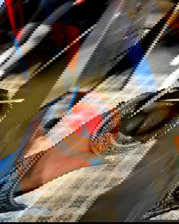 alexis.blond alexis.blond archive image