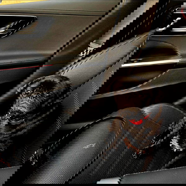 alexis.blond alexis.blond archive image