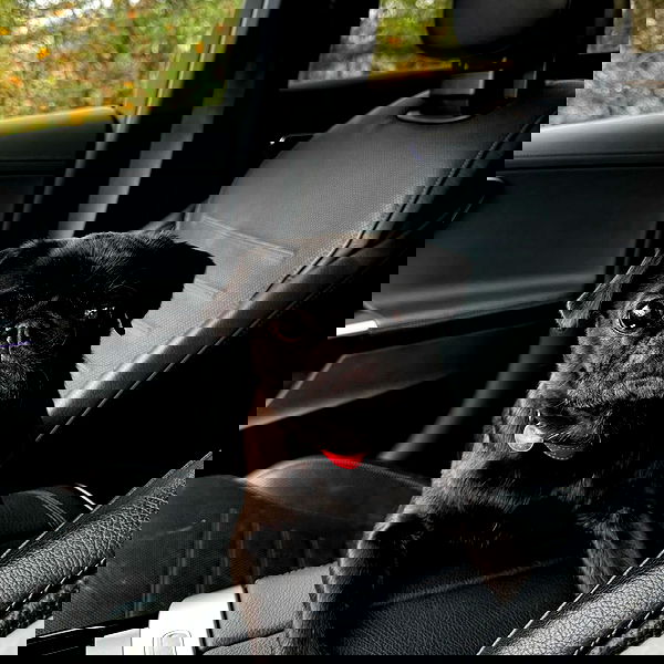 alexis.blond alexis.blond archive image