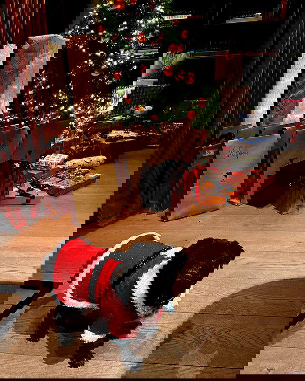 alexis.blond alexis.blond archive image