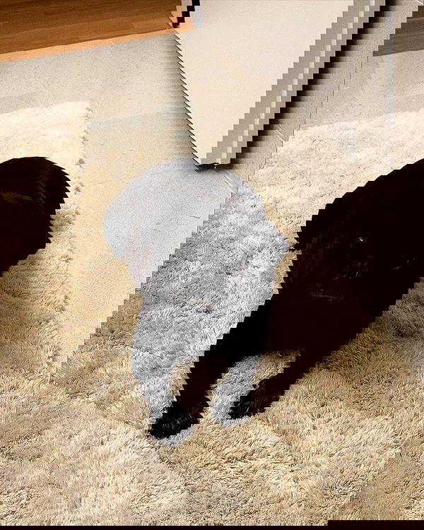 alexis.blond alexis.blond archive image