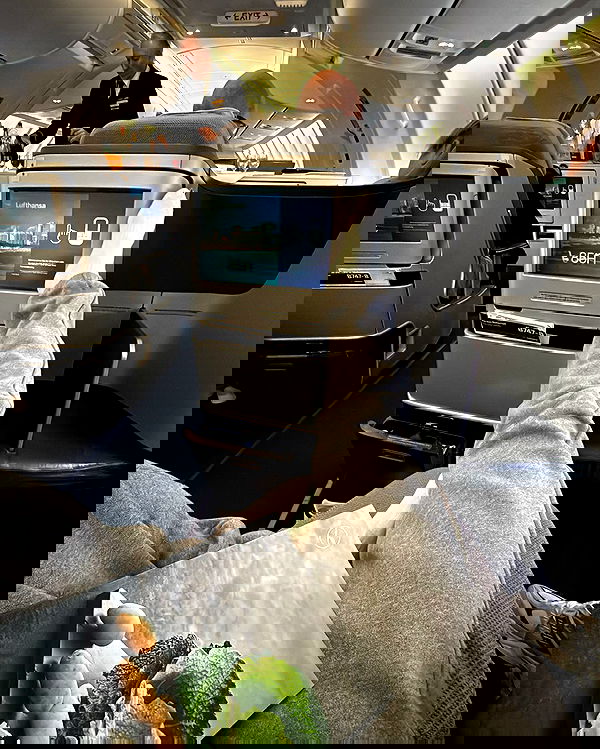 alexis.blond alexis.blond archive image