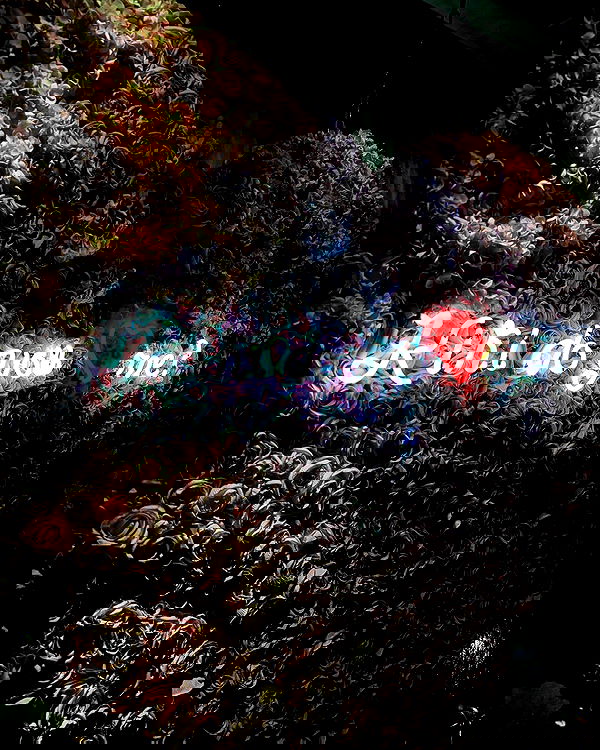 alexis.blond alexis.blond archive image