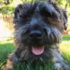 alexuhh_g Altpins Profile Picture