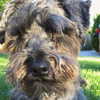 alexuhh_g Altpins Profile Picture