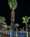 alexuhh_g Altpins Profile Picture
