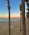 alexuhh_g Altpins Profile Picture
