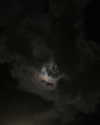 algofobica Altpins Profile Picture
