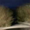 algofobica Altpins Profile Picture