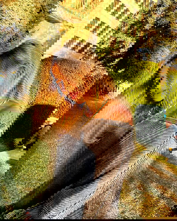 alice.skym alice.skym archive image