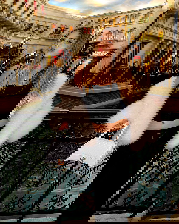 alice.skym alice.skym archive image