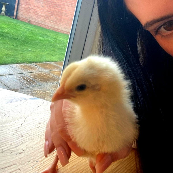 alicematildr instagram image archive image