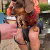 alicematildr Altpins Profile Picture