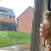 alicematildr Altpins Profile Picture