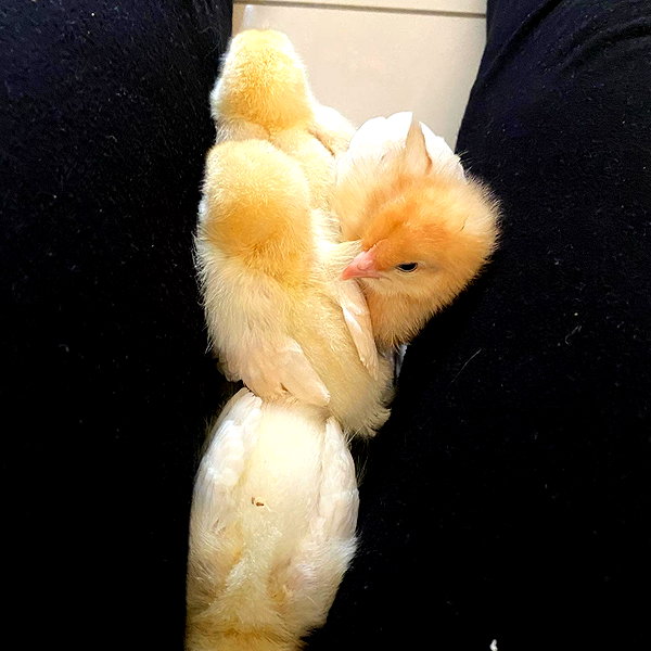 alicematildr instagram image archive image