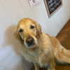 alicematildr Altpins Profile Picture