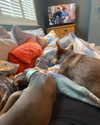 alicematildr Altpins Profile Picture