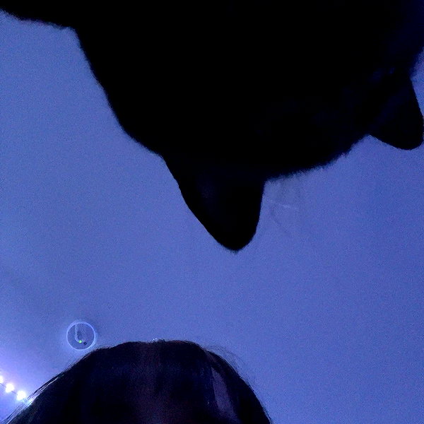 alil.squishy instagram image archive image
