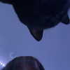 alil.squishy Altpins Profile Picture