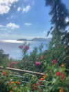 alina_luchenko Altpins Profile Picture