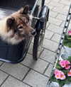 alina_mtsn Altpins Profile Picture