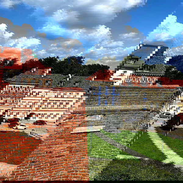 alisa.paigin alisa.paigin archive image