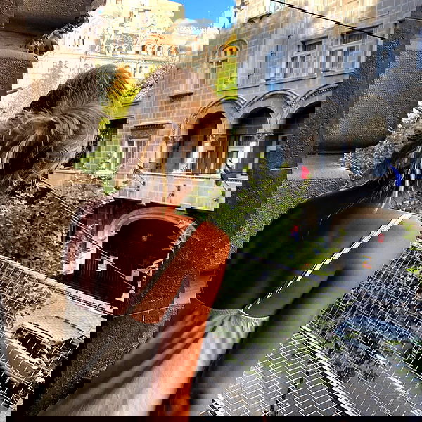 alisa.paigin alisa.paigin archive image