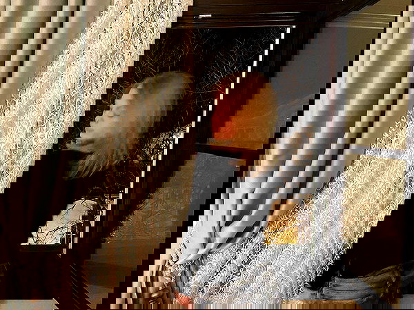 alisa.paigin alisa.paigin archive image