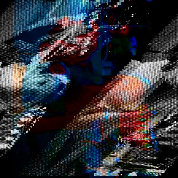 alisa.paigin alisa.paigin archive image