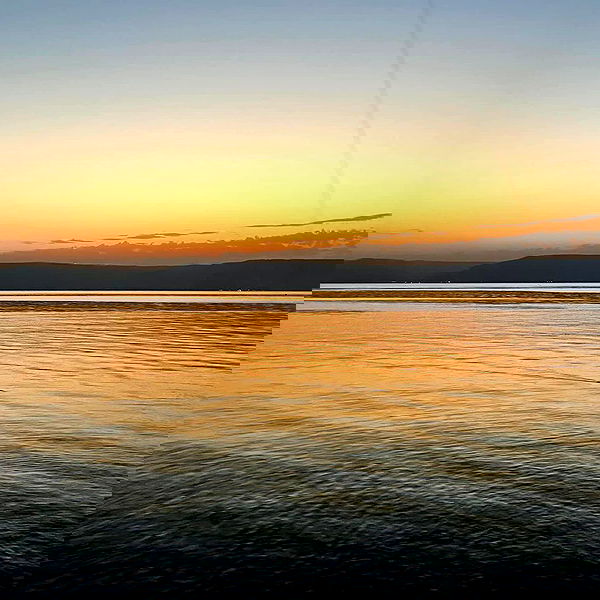 alisa.paigin alisa.paigin archive image